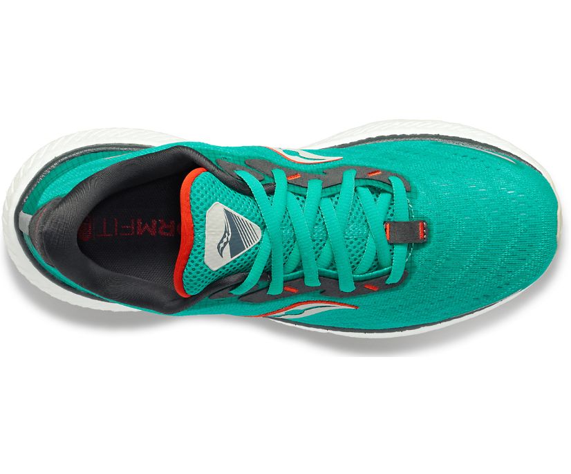 Női Saucony Triumph 19 Futócipő Menta | HU 361BEX